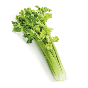 Apio seleccionado 500 gramos